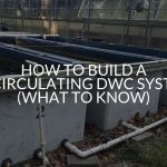 How To Build A Recirculating DWC System (What To Know)