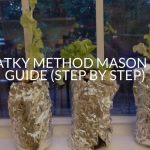 Kratky Method Mason Jar Guide (Step By Step)