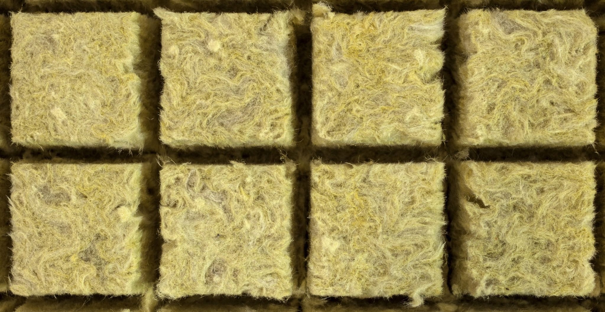 How Do You Use Rockwool In Hydroponics (A Complete Guide) Soak And Soil