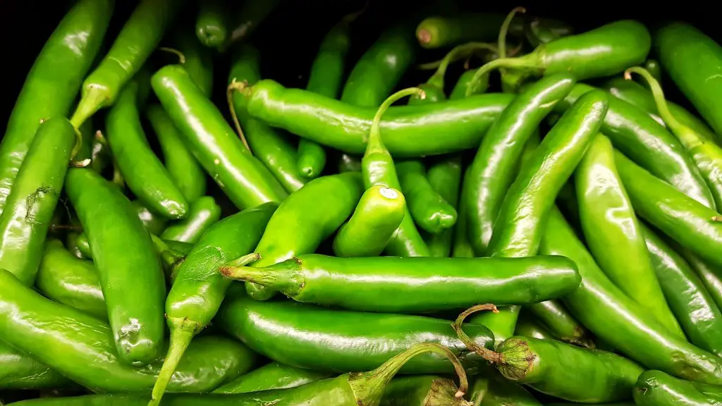 Why Are Your Serrano Peppers Not Spicy - Soak And Soil