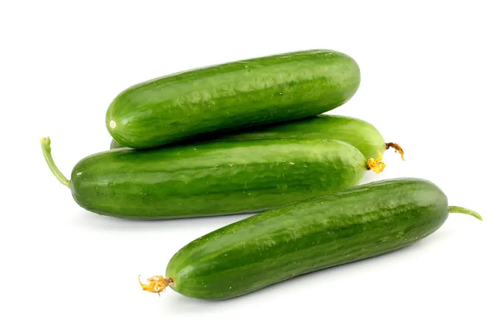 Fresh cucumbers isolated on white